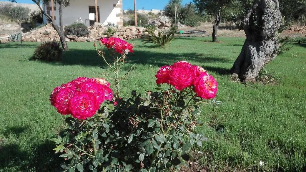 Hébergement de vacances Villa Regia Trazzera à Rilievo